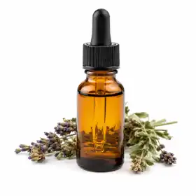 روغن های گیاهی